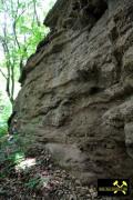 Steinbruch am Schlossberg bei Bornstedt, Sachsen-Anhalt, (D) (15) 28. Juni 2015 (Unteres Quarzitkonglomerat - Hornberg-Formation).JPG